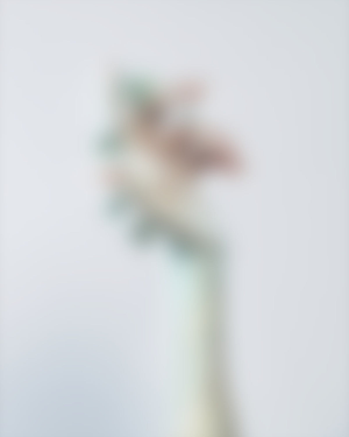 Stalk Glass Ring 0122 by Rain and Rivers, sold out