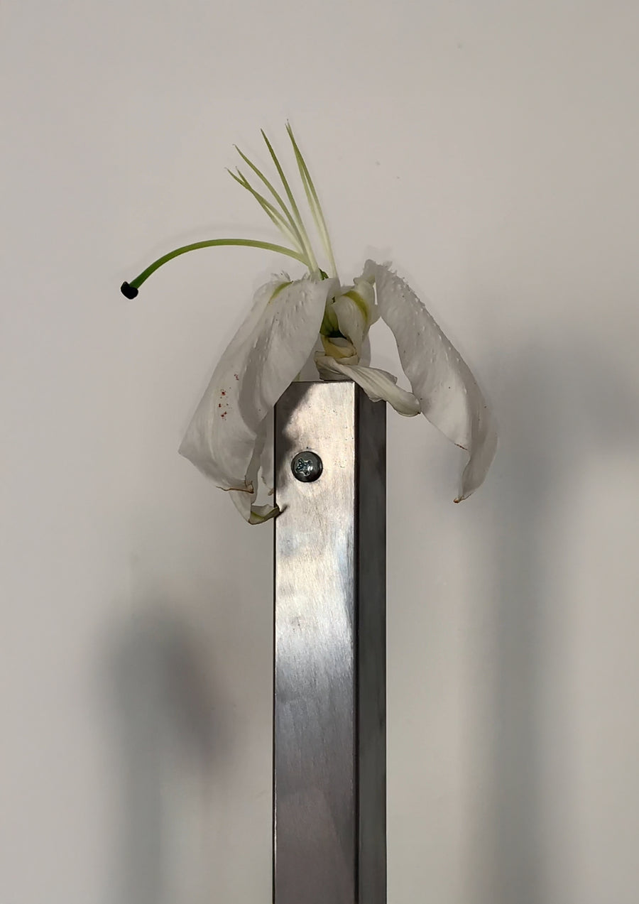 A Practice of Porosity, Il.lacions (2025), motorized flower installation by Magdalena Hart, image 3 of 3