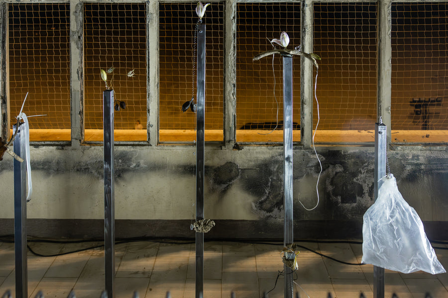 A Practice of Porosity, Turbina - Mira Festival (2025), site-specific sound installation by Magdalena Hart, image 7 of 10