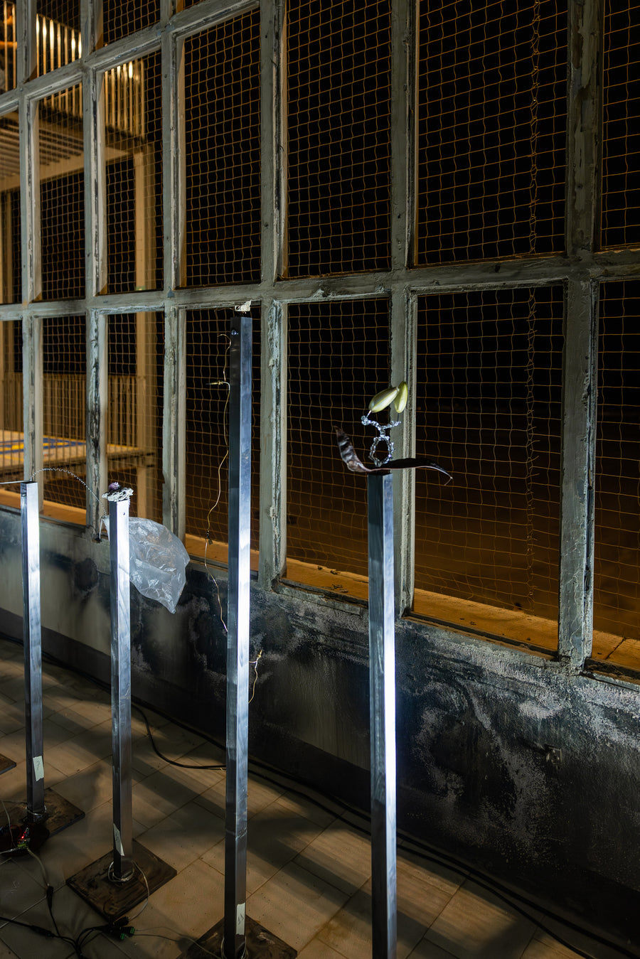 A Practice of Porosity, Turbina - Mira Festival (2025), site-specific sound installation by Magdalena Hart, image 9 of 10