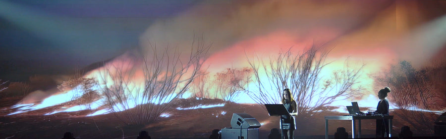 A Skin of Soil (2025), live audiovisual performance by Magdalena Hart, image 2 of 2