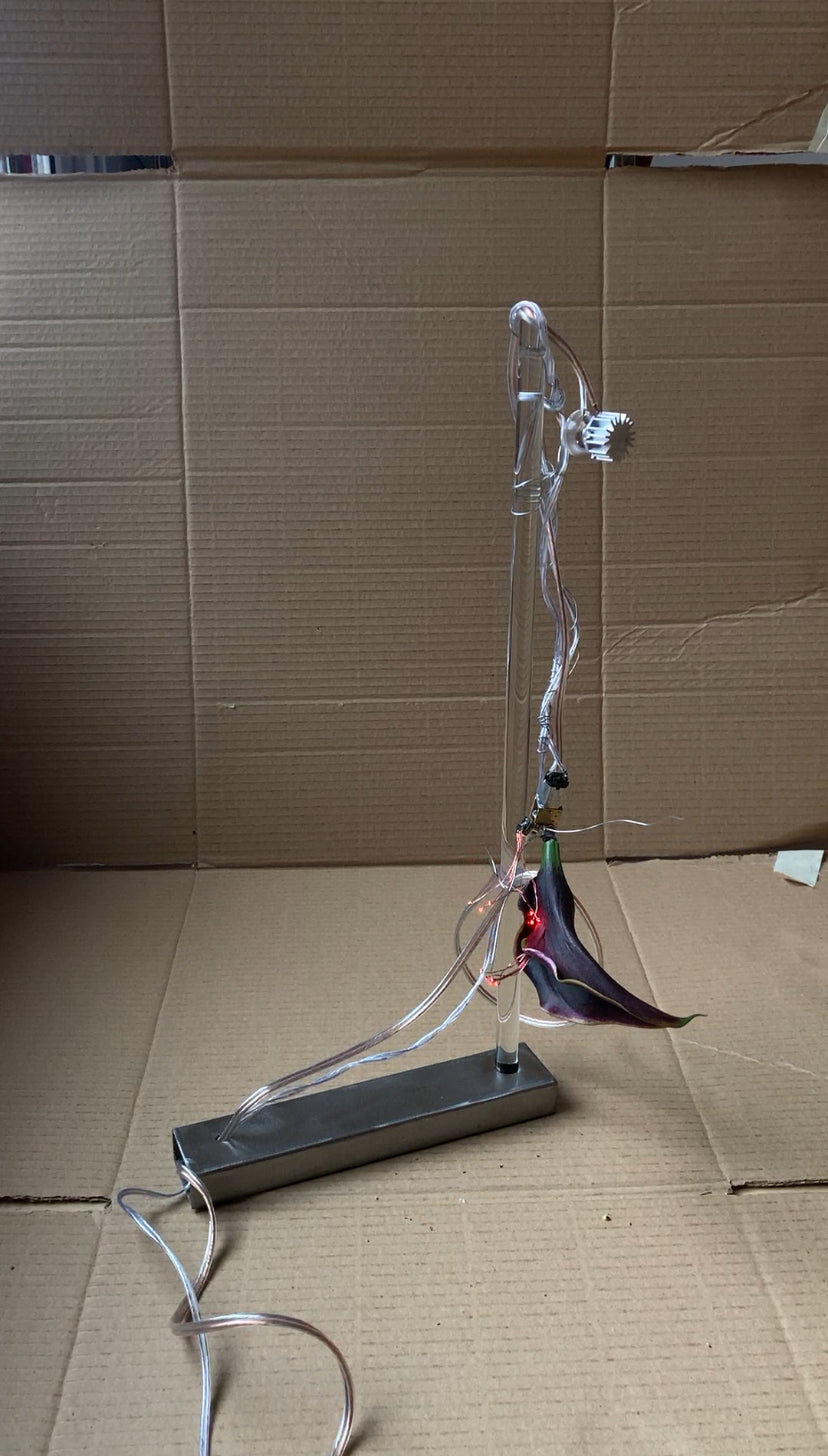 Acción y Destino (2026), lighting choreography with motorized sculptures and glass lamps by Magdalena Hart, image 1 of 11