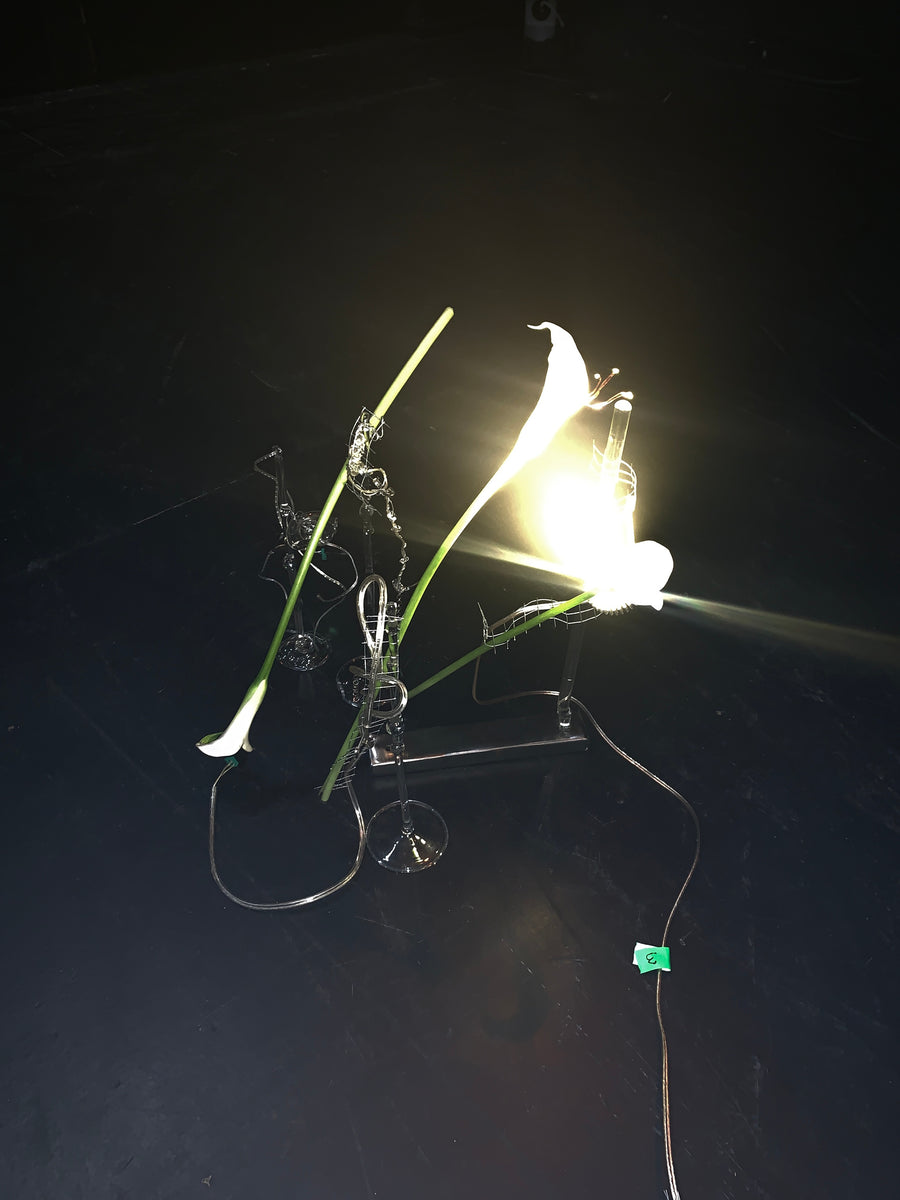 Acción y Destino (2026), lighting choreography with motorized sculptures and glass lamps by Magdalena Hart, image 8 of 11