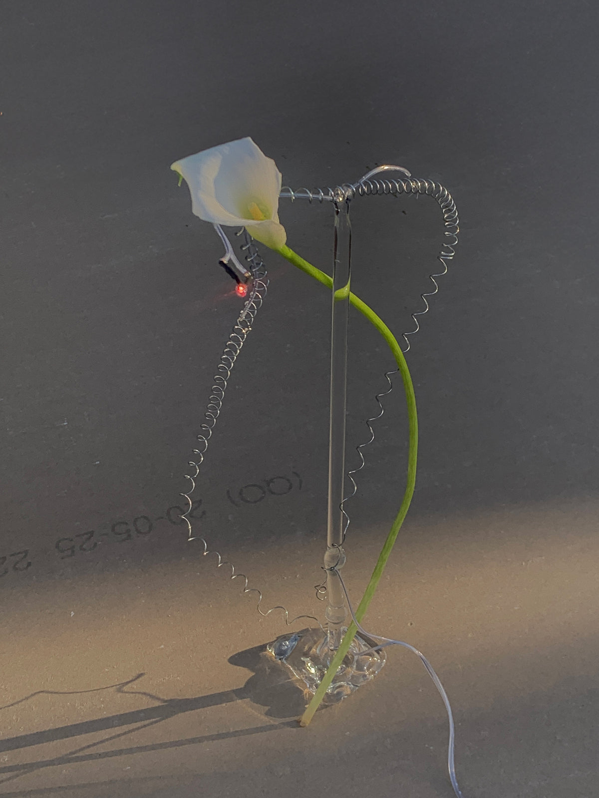 Acción y Destino (2026), lighting choreography with motorized sculptures and glass lamps by Magdalena Hart, image 10 of 11