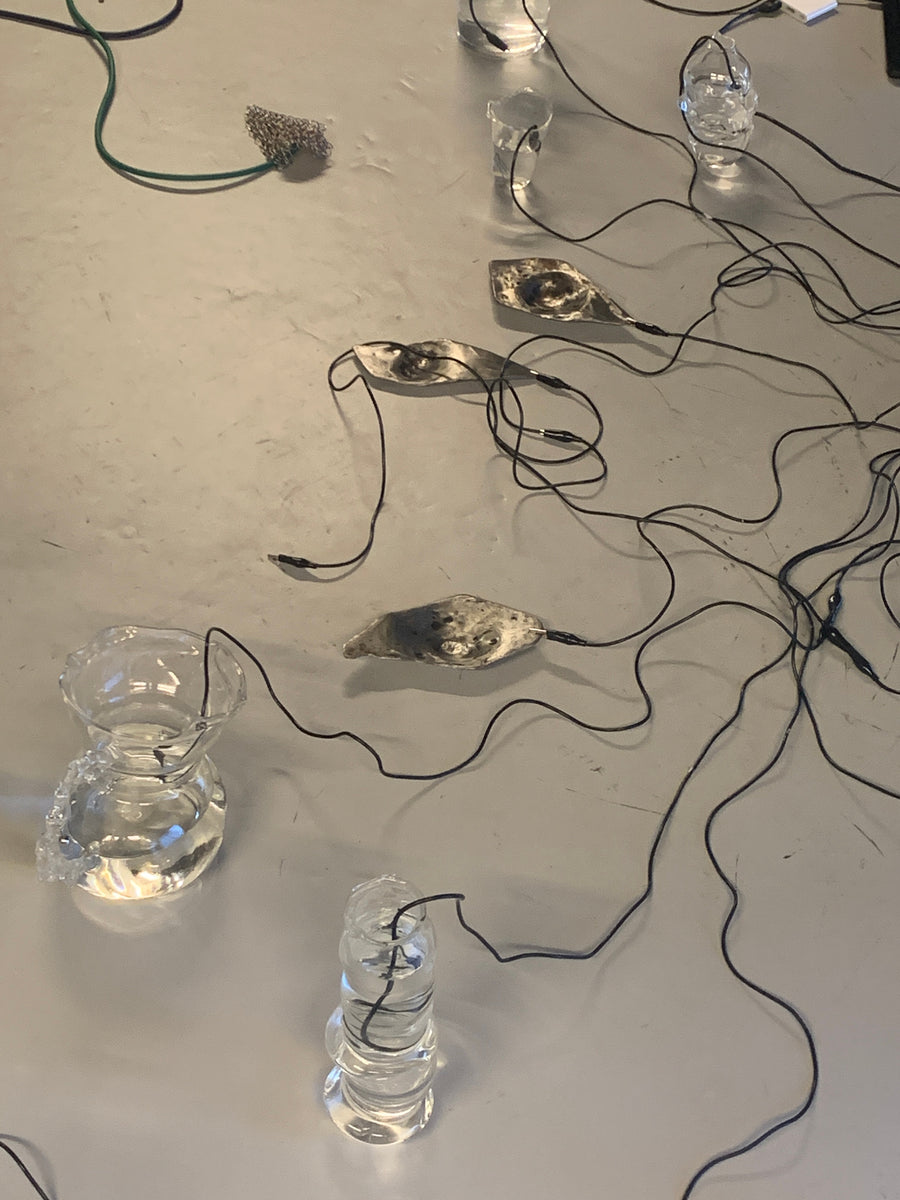 Bendiciones Líquidas (2021 / 2025), performance on water memory by Magdalena Hart, image 3 of 7