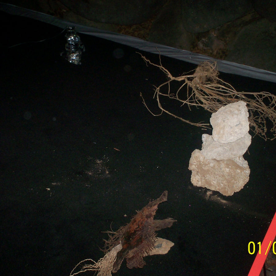 Bendiciones Líquidas (2021 / 2025), performance on water memory by Magdalena Hart, image 5 of 7
