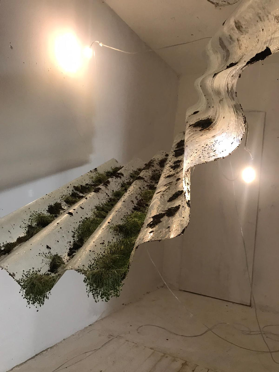 Cyclĭcus (2021), biodesign sculpture by Magdalena Hart, image 3 of 5