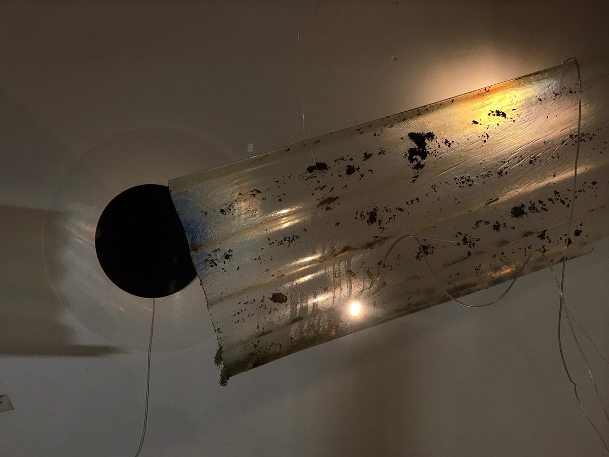 Cyclĭcus (2021), biodesign sculpture by Magdalena Hart, image 5 of 5