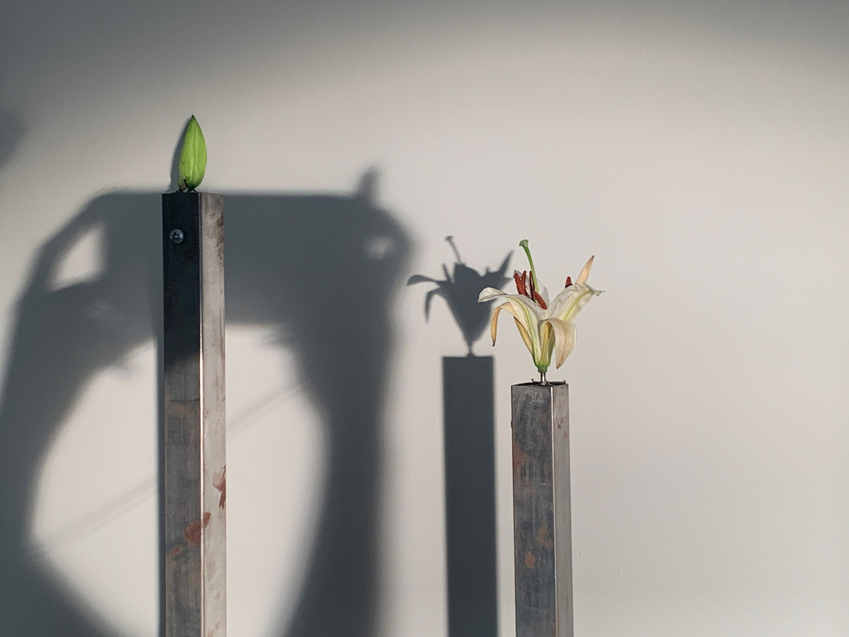 Despliegues (2026), studio as artwork, procedural practice by Magdalena Hart, image 1 of 10