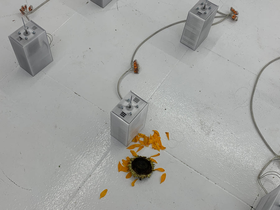 Despliegues (2026), studio as artwork, procedural practice by Magdalena Hart, image 9 of 10