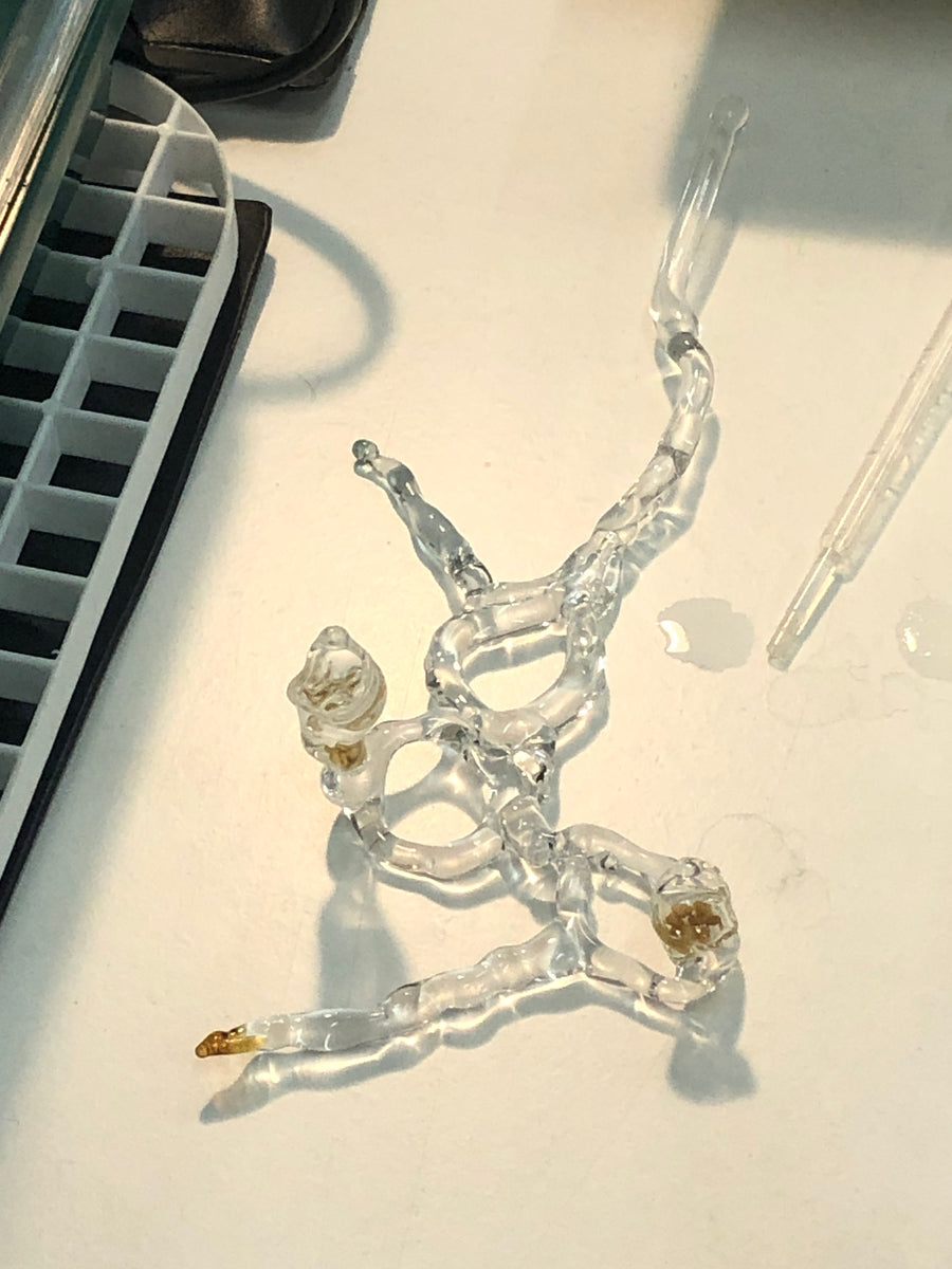 Manglar (2024), transdisciplinary art and science collective with Magdalena Hart, image 5 of 5