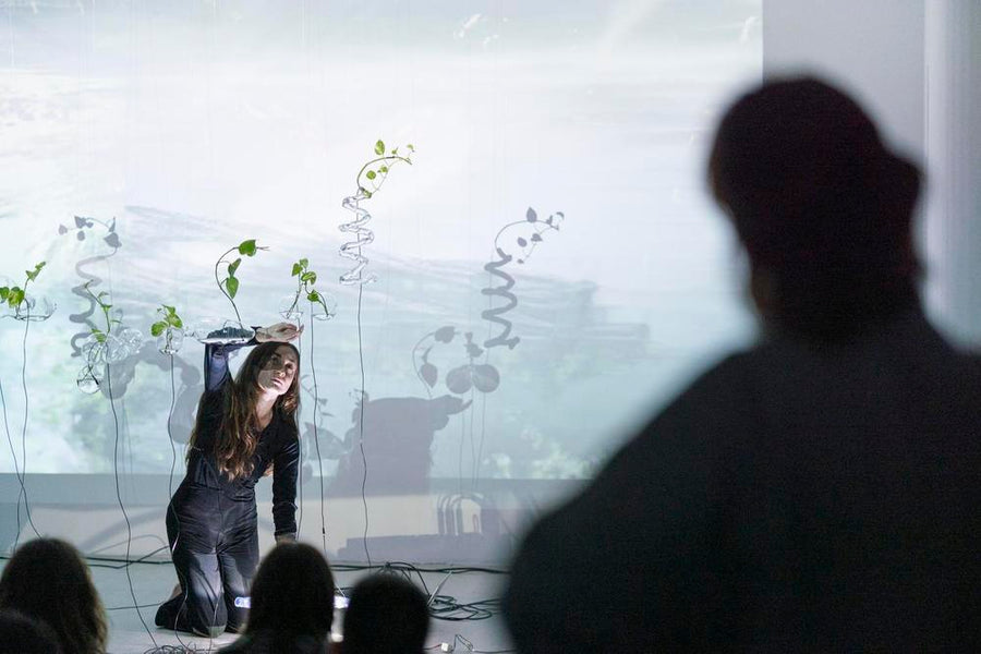 Paisaje Sonoro (2021 - 2022), performance and installation with plants and glass by Magdalena Hart, image 2 of 5