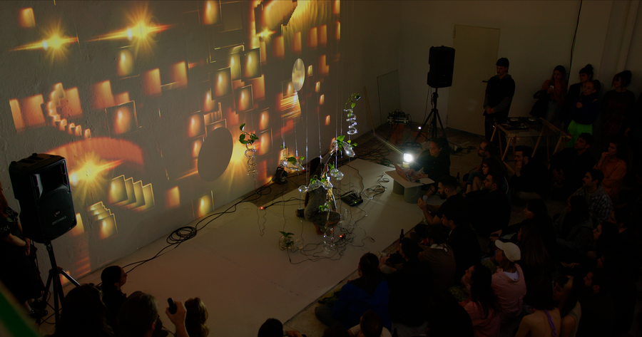 Paisaje Sonoro (2021 - 2022), performance and installation with plants and glass by Magdalena Hart, image 3 of 5
