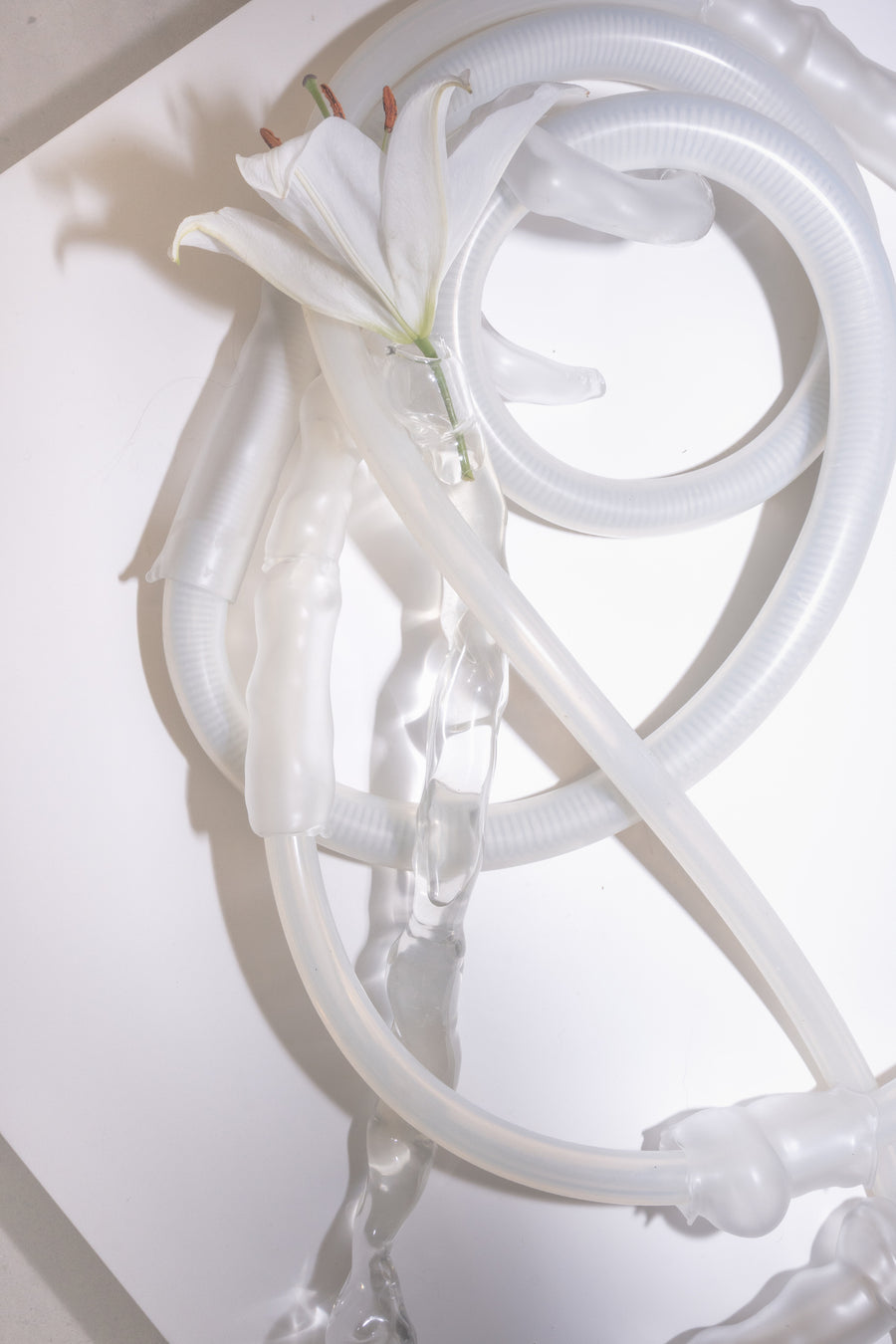 The Softest Hard (2026), blown glass and found object sculptures by Magdalena Hart, image 4 of 11