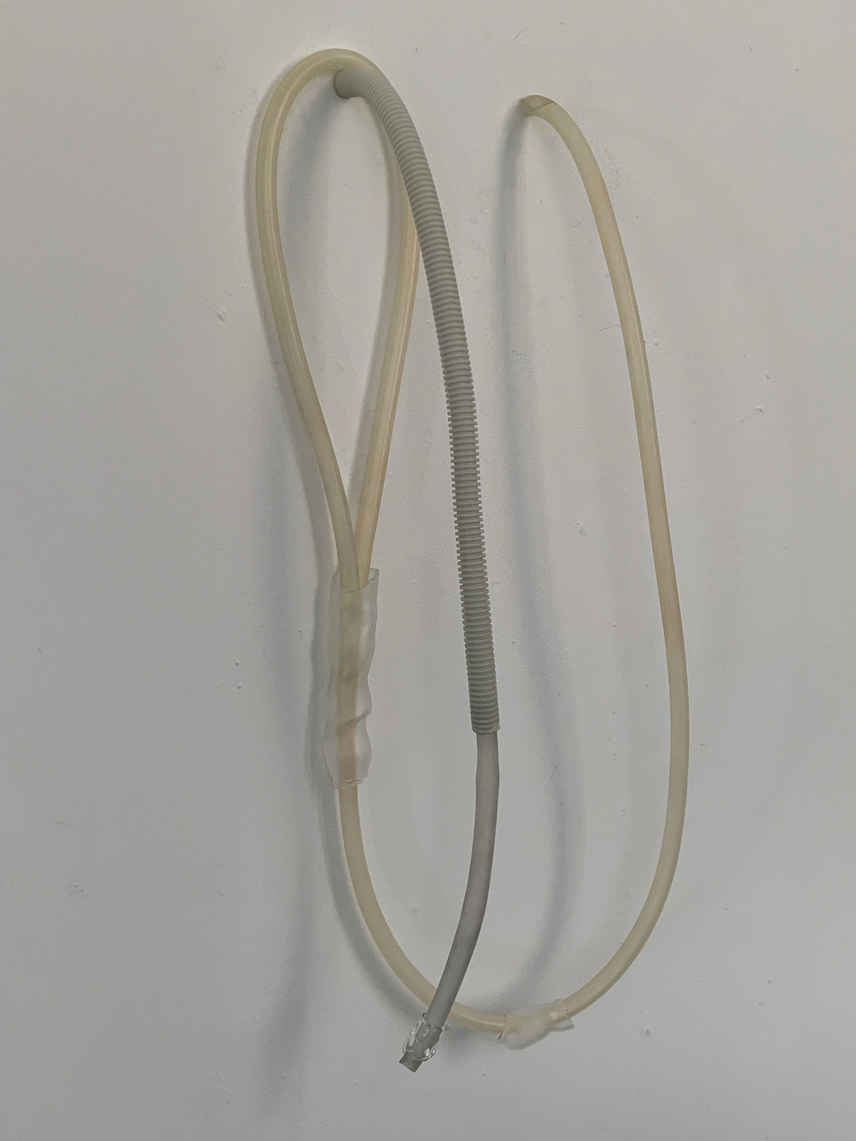 Two looped blown glass tubes hanging on a white wall
